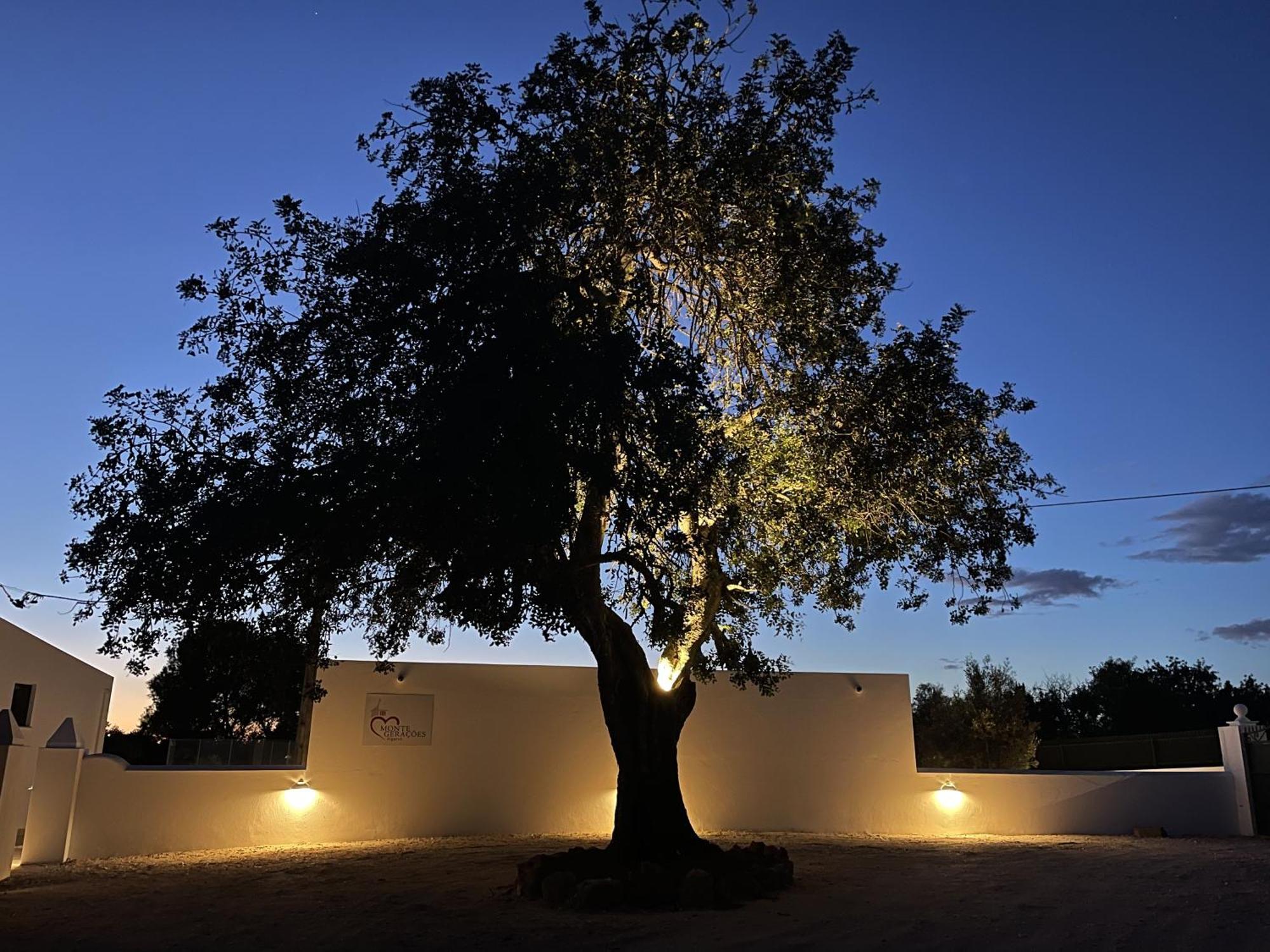 Monte Geracoes - Heated Pool - Typical Algarvian - Close To Quinta Lago, Vale Lobo And Vilamoura Almancil Buitenkant foto